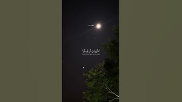 سوره النساء القارئ الشيخ ياسر الدوسري