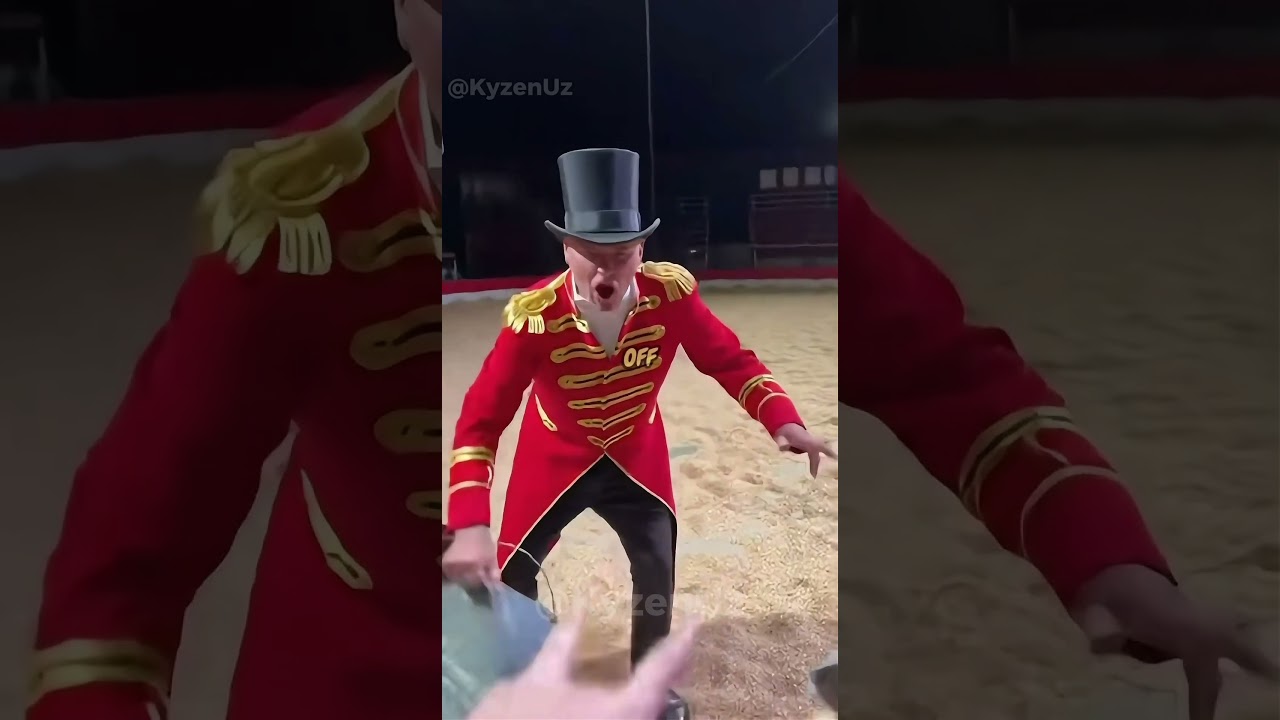 The Circus Trainer Poured Ice-cold Water On Them - Rescue Mission 🐘🐅