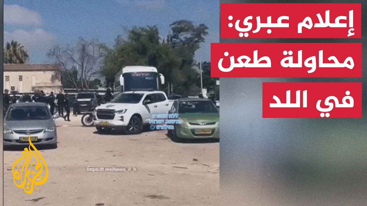 ������ 12 �����������: ����� ����� ��� ��� �� ���� ���� ��� ���� ��������
 - نشر قبل 8 دقيقة