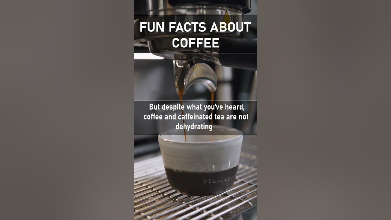 Does coffee dehydrate you? shorts funfacts coffee YouTube