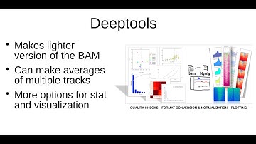 1.3. Convert BAM file into BigWig and make average tracks (of BAM files) for IGV viewer