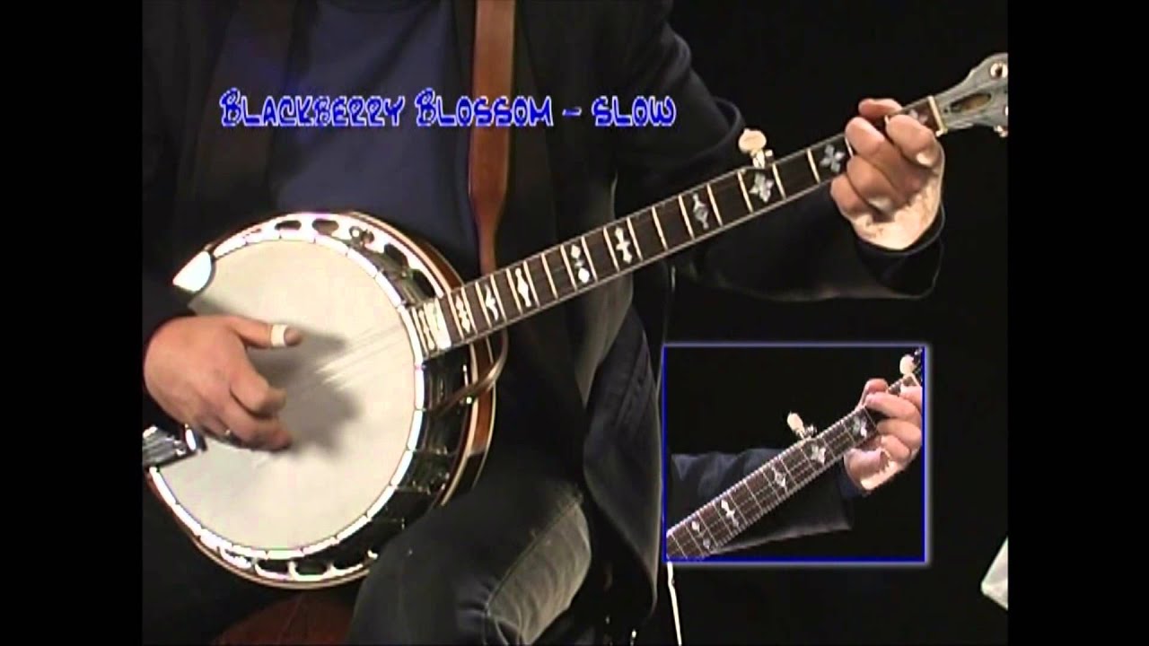 Backing Track for Banjo Black Berry Blossom Ross Nickerson