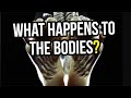 What Happens When You Donate Your Body to Science and How Do You Do This?