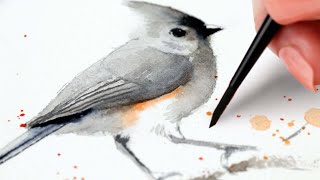 Watercolor Backyard Birds Tufted Titmouse Easy Painting Tutorial