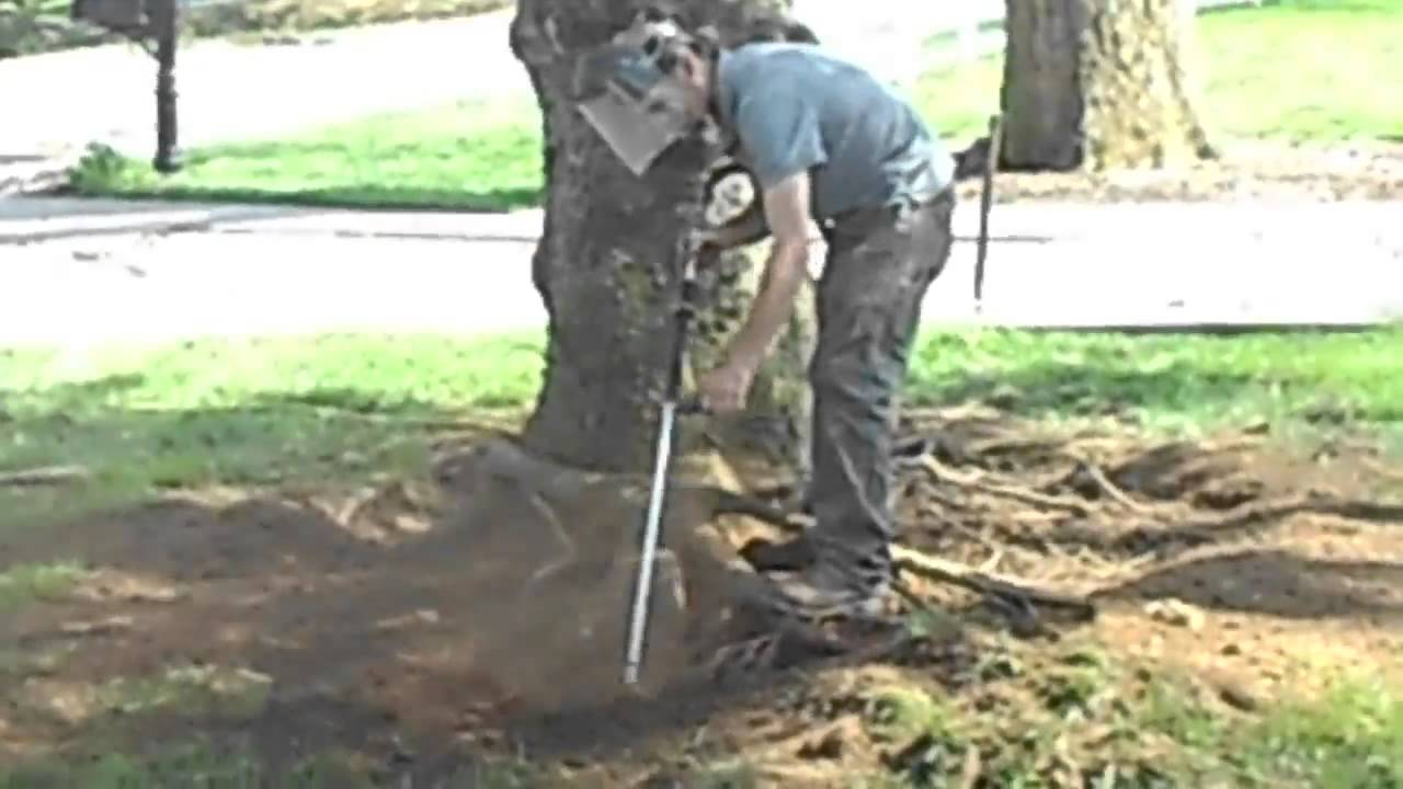 Tree Root Collar Excavation Of Norway Spruce With Girdling Root YouTube Tree Root Collar Excavation Of Norway Spruce With Girdling Root YouTube