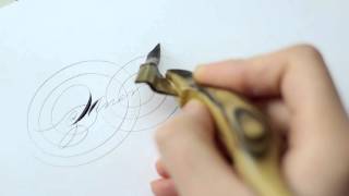 Writing 'Zaner Bloser' in Ornamental Penmanship Calligraphy by Master Penman Connie Chen