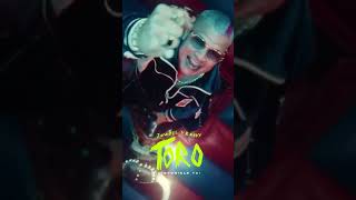 ROWELL & RANDY “TORO” SU PRIMER SENCILLO DEL 2022 #musicanueva #reggaeton #Flow