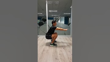 Bodyweight Squats