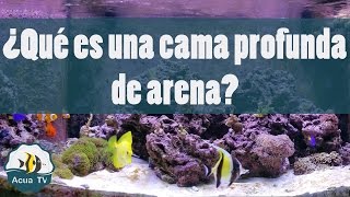 ¿Que es una cama profunda de arena y como funciona?