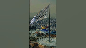 سورة نوح ماهر المعيلقي #القرآن_الكريم #قران #quran