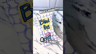 What’s in a $1 Blind Bag? #diy #blindbag
