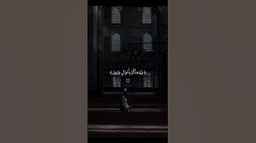 سورة نوح..."🎧 #quran #قران_كريم #القرآن_الكريم #القرآن #قران #المنشاوي #الله #foryou #allah #fyp