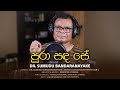 Pura sanda se    drsumudu bandaranayake  music