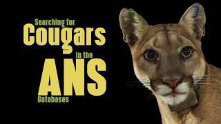Using Natural Language Processing to improve search results in the ANS Digital Resources. LT259