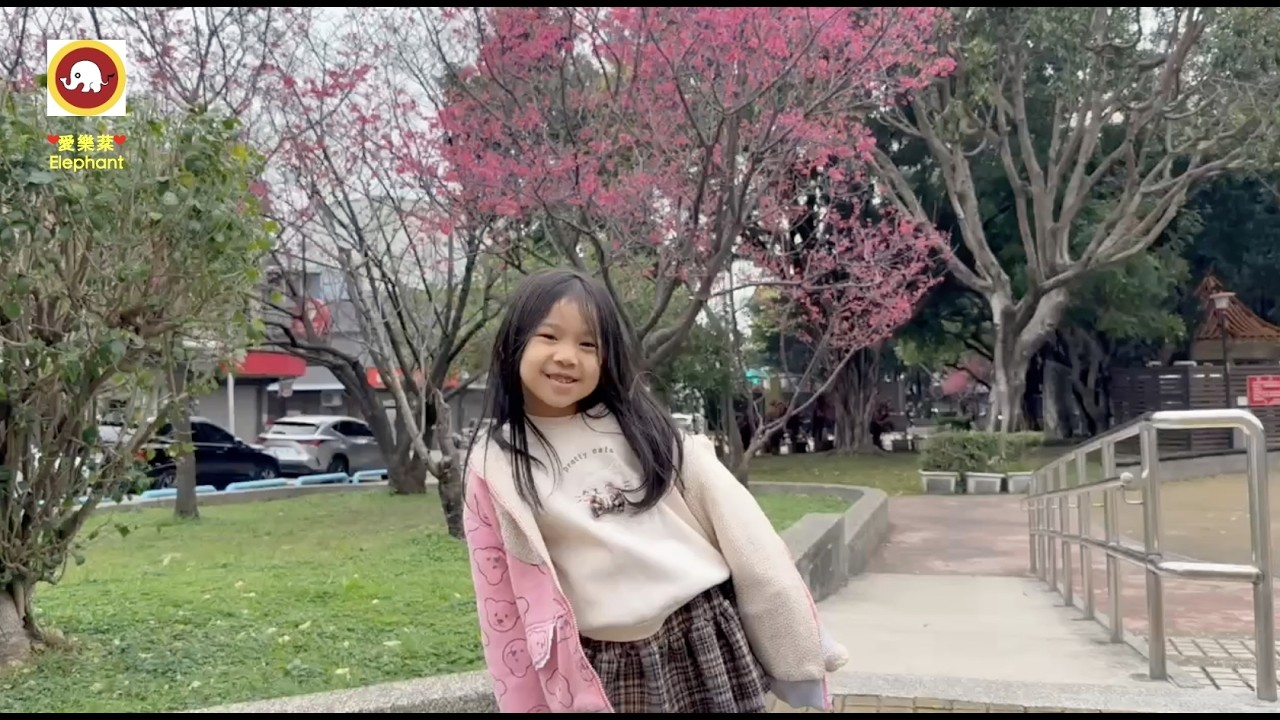 民國115年（西元2026年）丙午年 國曆二月十六日星期一 ☆農曆春節前夕除夕夜「台灣小萱」最受歡迎成員七歲小菲菲的阿嬤、小儀阿姨，準備十道非常豐富有年味的「圍爐年夜飯」美食，象徵十全十美 豐收的一年