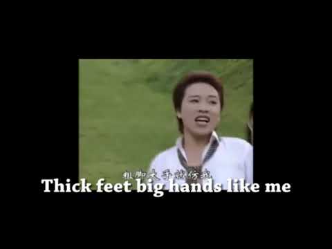 hilarious-chinese-song-translated