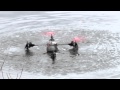 Ultra Ever Dry Treated Quadcopter Ultra Ever Dry Treated Quadcopter