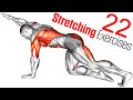 Full Body Dynamic Stretch and Cooldown Stretches