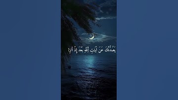 تلاوة من سورة القصص #تلاوة_خاشعة #اكسبلور #yasseraldossary #دويتو #المصحف #قران #تيك_توك #لايك