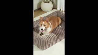 Restful Sleep—Tailored to Your Dog's Needs