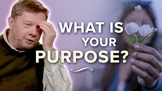 What Is the Main Purpose in Life? | Eckhart Tolle