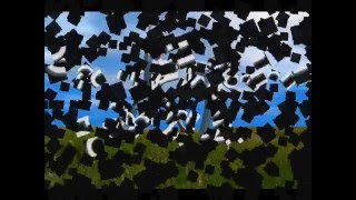 Jacksonville FL 32256, 10642 Roundwood Glen Ct.