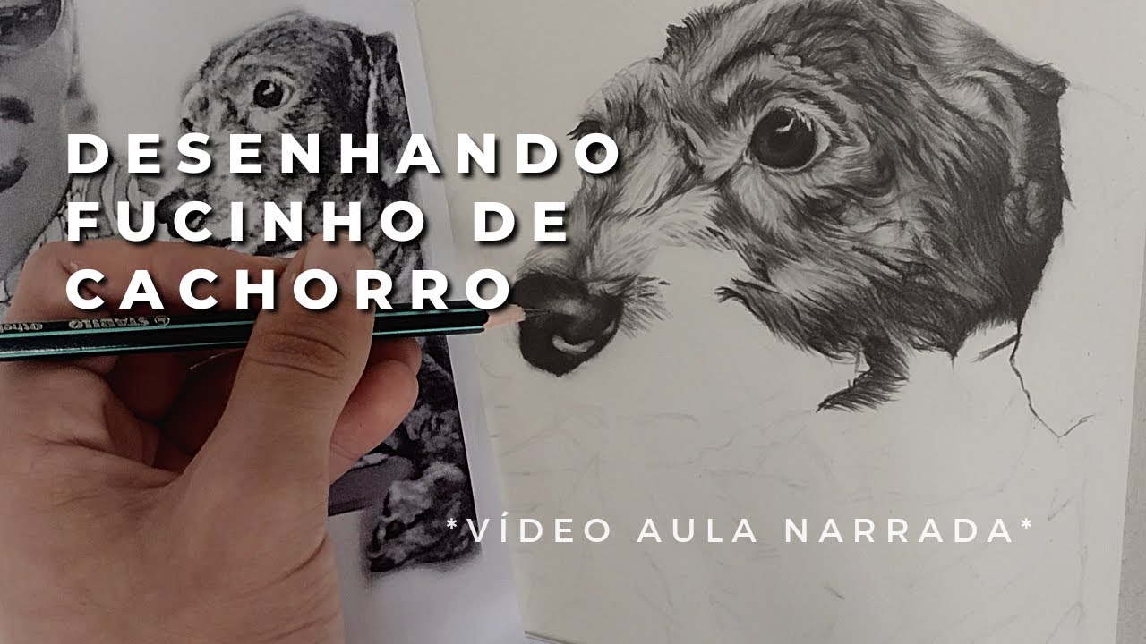 Desenho realista que fiz de um doguinho ✍️🏻🐕 : r/brasilivre