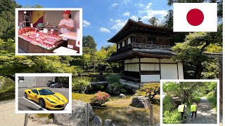 Kyoto, Japan - Sunny walk through Japanese Neighbourhood to temples and shrines [4k][Natural audio]