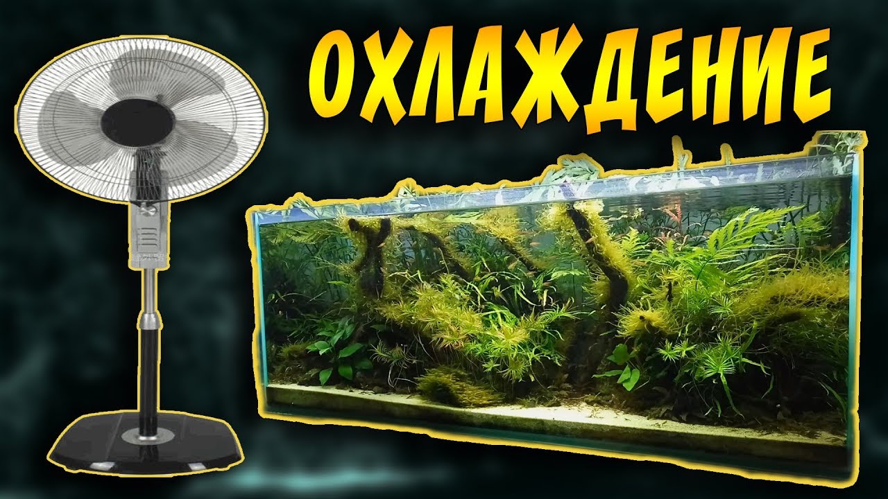 ОХЛАЖДЕНИЕ ВОДЫ В АКВАРИУМЕ! Кулер и новые ножки для светодиодной лампы ...