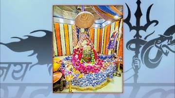 #ujjain तेरे दरबार संगत ujjain avantika status Mahashivratri status mahakal status ujjain 4k status