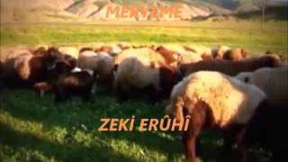 Zeki Erûhî=MERYEMÉ Resimi