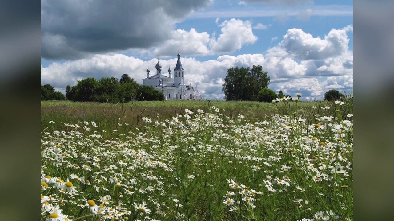 Русь сердцу дорога. Церковь картинки красивые. Церковное фото с цветами. Рай в Ярославле. Фотообои поле и Церковь.