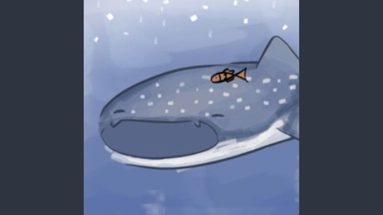 a lullaby and story on a whale shark's back