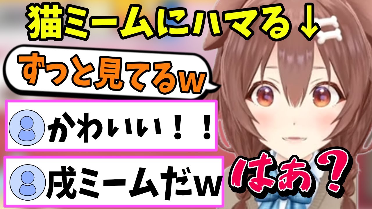 猫ミームにハマって一生はぁ？を連発するころさん【ホロライブ切り抜き/戌神ころね/猫ミーム】