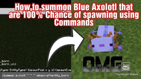 How to Summon Blue Axolotl using Commands (Not Clickbait)