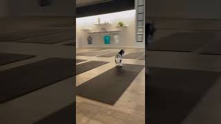 Goat getting a real energie rush #animals #funny #cute #goat #fyp #funnyvideo