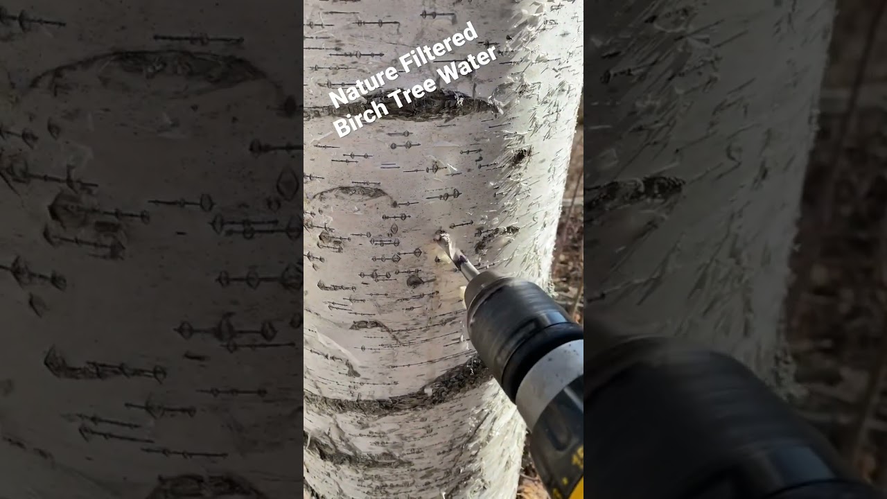 A TRUE Gift of Nature!!! 