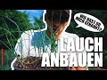 Lauch ANBAUEN und im WINTER damit kochen
