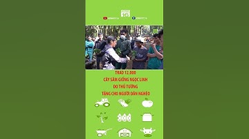 Trao 12.000 cây sâm giống ngọc linh do Thủ tướng tặng cho người dân nghèo | VTC16