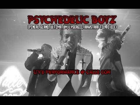 PSYCHEDELIC BOYZ -  LIVE PERFORMANCE @ CALLE CON (FULL)
