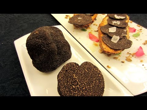 Vídeo: Diamantes Na Sujeira: Como Selecionar E Preparar Trufas De Inverno