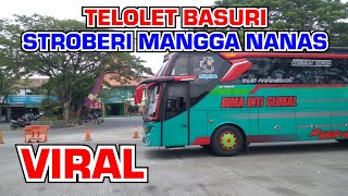 stroberi mangga nanas by BIMA INTI GLOBAL #telolet #basuri #basuriv3 #bus #truck #viral #fyp