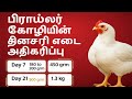 Broiler Weight Chart 2025💯 | ஒரு கோழி எவ்வளவு நாள் ல என்ன weight ஆகும்?🐔