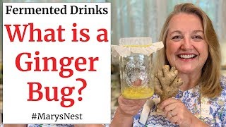 How to Make a Ginger Bug for Making Probiotic Rich Fermented Drinks