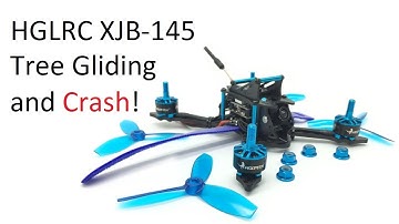 XJB-145 Tree Gliding and Crash