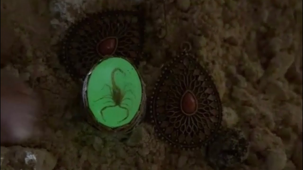 الزعيم يدخل كهف تركي ويعثر على اشياء ثمينة