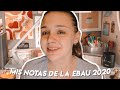 "REACCIONANDO" A MIS NOTAS DE SELECTIVIDAD 2020 ✨ - POLO POSITIVO