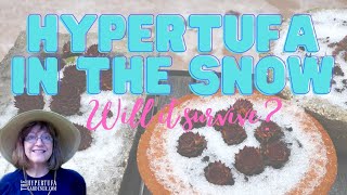 Hypertufa in the Snow and Ice - Can It Be Outside in Snow? Winter Weather and Hypertufa