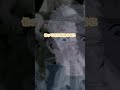 è…¹ã‚’ããã‚Œï¼ã€ãƒ€ãƒ³ã‚¸ãƒ§ãƒ³é£¯ã€‘