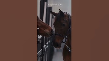 القارئ عبد الرحمن مسعد • قرآن كريم {سورة العاديات}
